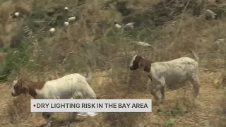 Dry lightning risk in Bay Area