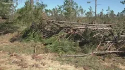 В штате Джорджия открыт прием заявок на оказание помощи пострадавшим от урагана Хелен, в то время...