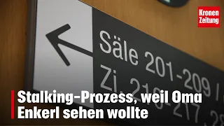 Stalking trial because grandma wanted to see her granddaughter | krone.tv NEWS