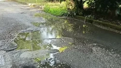 Via XXV Aprile, water leak for a year: Resident anger grows