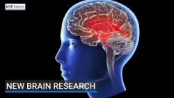 Исследование показало, что «проницаемость» гематоэнцефалического барьера связана с долгосрочными ...