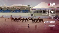 مهرجان قطر للإبل - جزيلات العطا - 07-02-2026