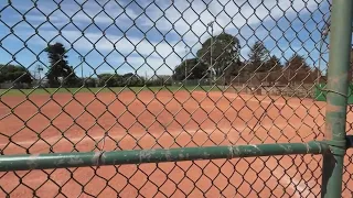 Thieves target Richmond Little League team