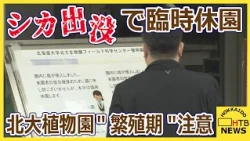 北大植物園にシカ出没で臨時休園　角ある3歳以上のオスか　繁殖期で市が注意呼びかけ
