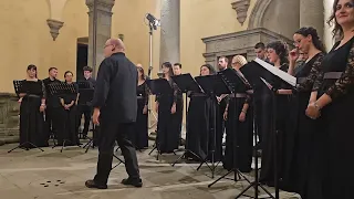 Monte San Savino Festival, the final assessment: youth, music, and a growing community
