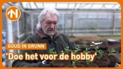 Alex Vissering maakt zijn hoofd het beste leeg tussen de plantjes Alex Vissering maakt zijn hoofd het beste leeg tussen de plantjes