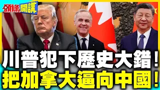 習近平彎腰撿寶! | 川普犯下歷史大錯!把加拿大逼向中國!【頭條開講】精華版 @中天電視CtiTv