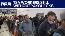 По всей стране зафиксированы длинные очереди в пунктах досмотра TSA на фоне продолжающейся приост... По всей стране зафиксированы длинные очереди в пунктах досмотра TSA на фоне продолжающейся приост...