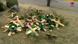 Zapopan habilitó centros de acopio para árboles de navidad