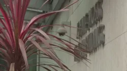 Жительница Сакраменто подала в суд на федеральное правительство после депортации, несмотря на нал...