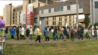 About 150 doctors on strike