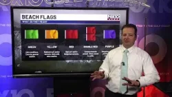 Благодаря поднятию красных флагов на пляжах, появились более безопасные варианты для купания.