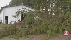 Сильные грозы причинили масштабный ущерб в западной части штата Нью-Йорк.