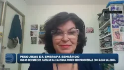 Mudas de espécies nativas da Caatinga podem ser produzidas com água salobra