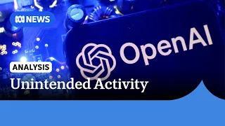 Why did it take OpenAI three months to report the Medicare hack? | ABC NEWS