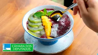 Committee approves creation of açaí incentive program - 8/21/2026