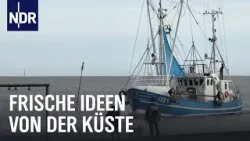 Halbinsel Butjadingen: Unterwegs zwischen Jade und Weser  | Nordseereport | NDR Doku