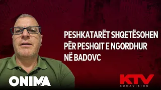Peshkatarët shqetësohen për peshqit e ngordhur në Badovc