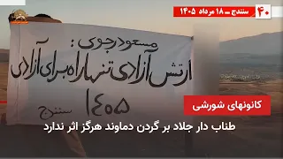 50 Revolutionary Acts, Rebels' Support for Simay-e Azadi