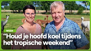 Hitte weer op komst volgens weerboer Gerrit: ‘Een tropische hittegolf’