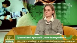 Gyermekkori agresszió: jelek és megoldások – Mozaik