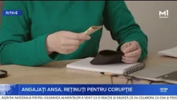 Six ANSA employees and one administrator detained in a corruption case