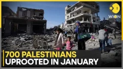 West Bank Displacement Crisis: 700 Palestinians Uprooted in January | WION