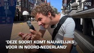 Op pad met Wessel #1 | De wilde kant van de stad