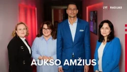 VMI apie savo sukurtą mokesčių skaičiuoklę: dauguma žmonių – patenkinti
