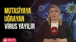 Azərbaycanda təhlükəli virus -  Dərmanlar niyə kömək etmir? | APA TV