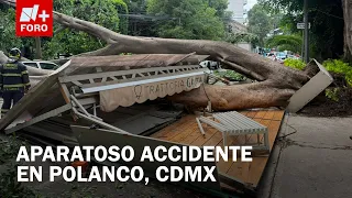 Enorme Árbol Cae sobre Restaurante, Daña un Auto y Deja una Lesionada en Polanco, CDMX