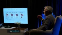 Stomatologu Morina: Sa më herët që identifikohet kariesi, trajtimi është më i suksesshëm