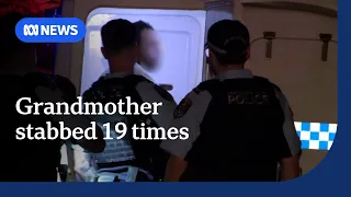 Man claims Ozempic contributed to alleged murder of 90yo grandma | ABC NEWS