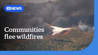Tens of thousands flee out-of-control wildfires in southern Europe | ABC NEWS