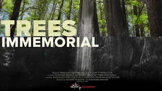 Trees Immemorial