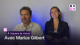 Marius Gilbert à travers le miroir
