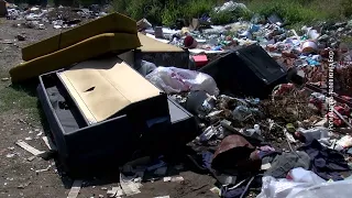 Uređenje grada u letnjim mesecima, 12. avgust 2026.(RTV Bor)
