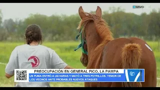 CONCERN IN GENERAL PICO, LA PAMPA
