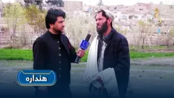 هنداره - سږنيو کرنیزو حاصلاتو ته د کروندګرو هیله مندي هنداره - سږنيو کرنیزو حاصلاتو ته د کروندګرو هیله مندي