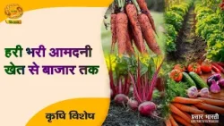 Krishi Vishesh | कृषि विशेष- हरी भरी आमदनी खेत से बाजार तक | DD Kisan | March 05, 2026
