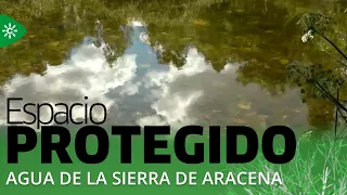 Protected Area | Clean Waters in the Sierra de Aracena