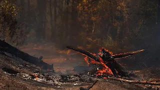 Жителей Котиньяка в Провансе пришлось эвакуировать, огонь удалось локализовать
