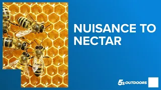 Nuisance to Nectar | 5OUTDOORS