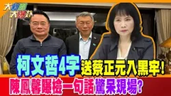 柯文哲4字送蔡正元入黑牢!陳鳳馨曝檢一句話驚呆現場?【#大新聞大爆卦】精華版1   @大新聞大爆卦HotNewsTalk