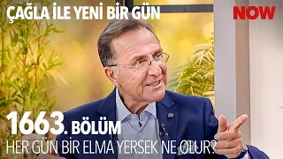 Yeşil Elmanın Kalori Değeri Daha Düşüktür! - Çağla ile Yeni Bir Gün 1663. Bölüm @CaglaileYeniBirGun​