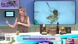 TADA' in the Kitchen - Wednesday 10/07/26