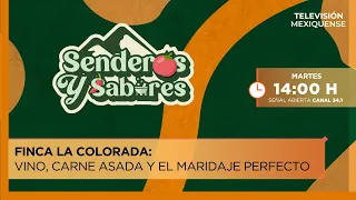 Finca La Colorada: Wine, Carne Asada, and the Perfect Pairing | Paths and Flavors | 09/15/2026
