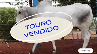 TOURO UFU689