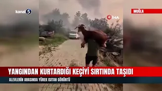 He Carried the Goat He Rescued from the Fire on His Back! A Heartwarming Sight Amidst the Flames