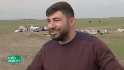 Lâna a ajuns un deșeu greu de gestionat! 30 03 2026 Lâna a ajuns un deșeu greu de gestionat! 30 03 2026